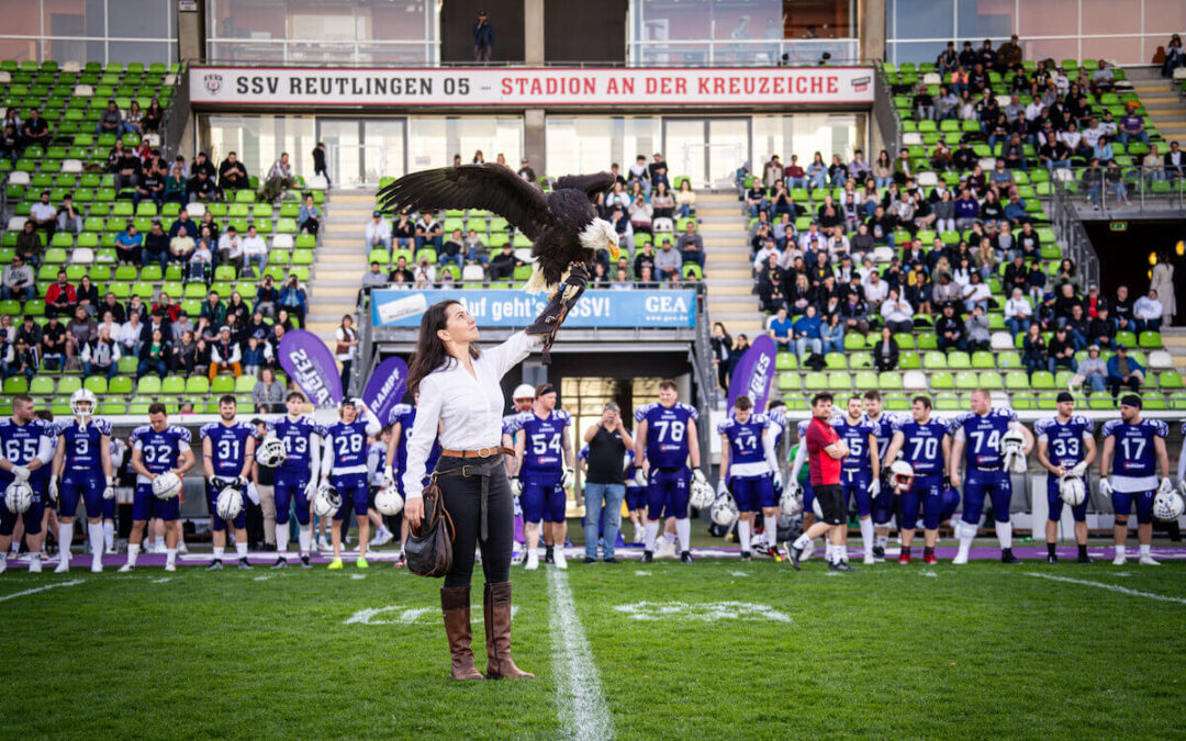 Perfekter Saisonstart für die Eagles